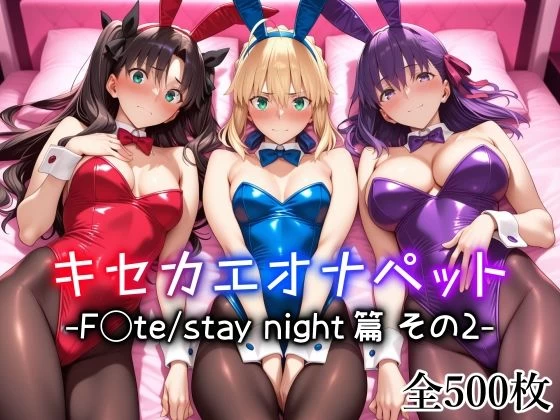 d_725863 | キセカエオナペット -F◯te stay night篇 その2-【愛玩ファクトリー】