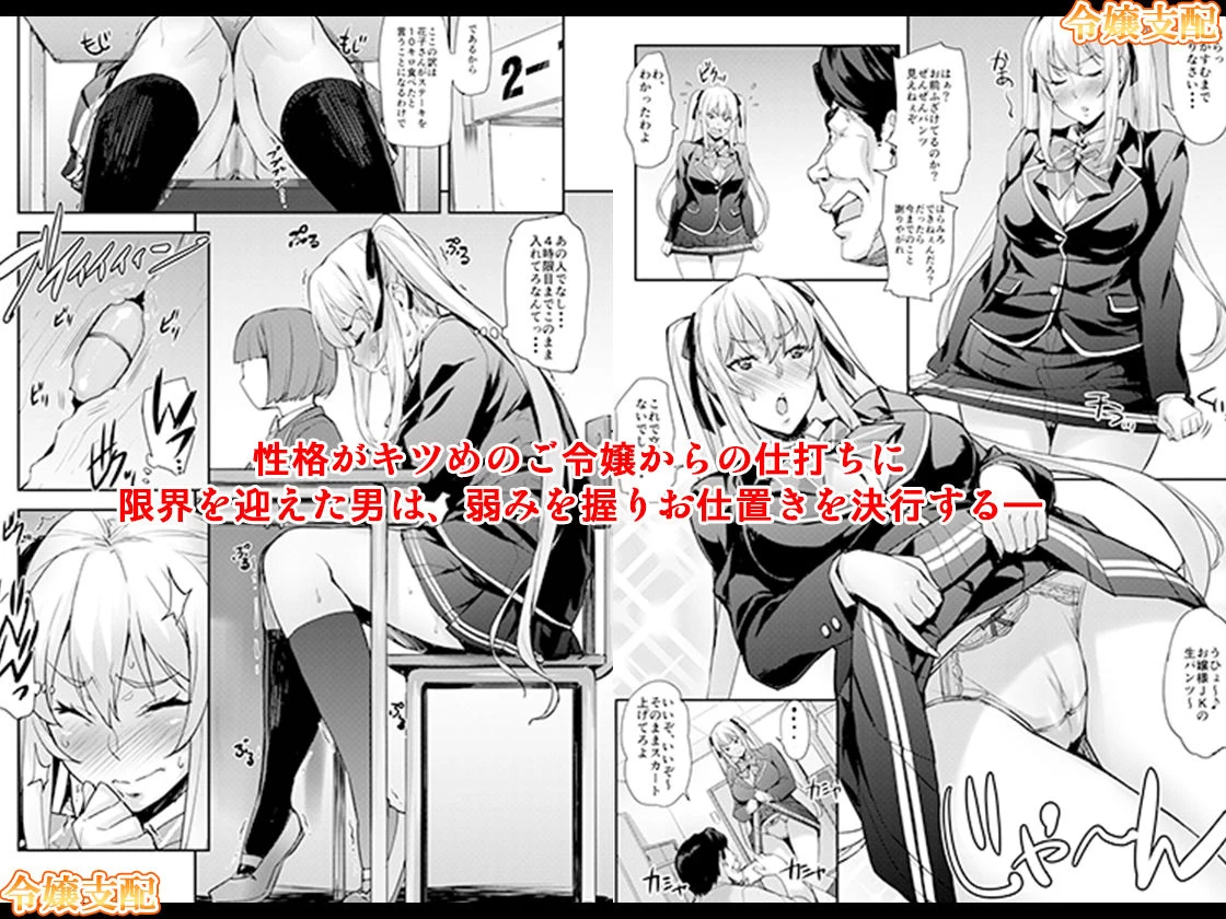 d_147601 | 「令嬢支配 ＋ 令嬢支配・雌」セット【みっくすふらい】 - サンプル画像1