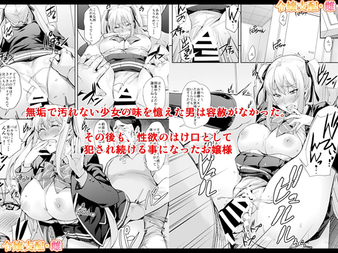 d_147601 | 「令嬢支配 ＋ 令嬢支配・雌」セット【みっくすふらい】 - サンプル画像3