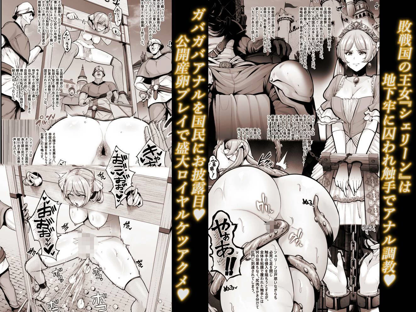 d_430658 | 国辱の雌隷 -Fallen kingdom-【とっくうき1号】 - サンプル画像3